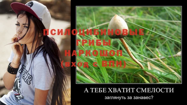 мяу мяу кристалл Алексин