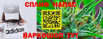 PSILOCYBIN Мариинск