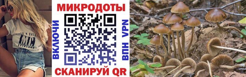 Псилоцибиновые грибы MAGIC MUSHROOMS Ленинск-Кузнецкий