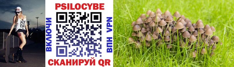 Галлюциногенные грибы MAGIC MUSHROOMS Ленинск-Кузнецкий