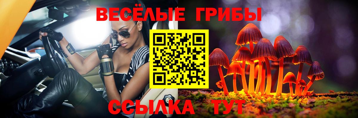 Ленинск-Кузнецкий  Галлюциногенные грибы Cubensis  Вход с VPN  Галлюциногенные грибы прущие грибы 